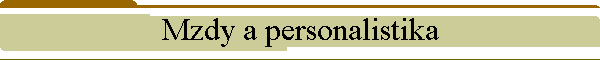 Mzdy a personalistika