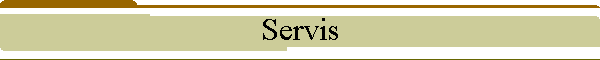 Servis